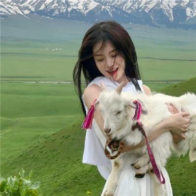 和歌子酒第二季